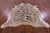 Tiger Animal Print Natural Cowhide Rug - X-Large 7' 0"H x 6' 5"W