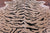 Tiger Animal Print Natural Cowhide Rug - X-Large 7' 0"H x 6' 5"W