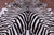 Zebra Animal Print Natural Cowhide Rug - XX-Large 8' 3"H x 7' 0"W