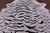 Tiger Animal Print Natural Cowhide Rug - X-Large 7' 4"H x 6' 3"W
