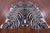 Zebra Animal Print Natural Cowhide Rug - XX-Large 7' 9"H x 6' 4"W