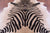 Zebra Animal Print Natural Cowhide Rug - XX-Large 7' 10"H x 6' 8"W