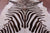 Zebra Animal Print Natural Cowhide Rug - X-Large 7' 0"H x 5' 10"W