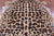 Jaguar Animal Print Natural Cowhide Rug - X-Large 7' 3"H x 5' 10"W