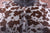 Horse Animal Print Natural Cowhide Rug - X-Large 7' 4"H x 6' 2"W