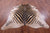 Zebra Animal Print Natural Cowhide Rug - XX-Large 7' 9"H x 6' 7"W