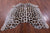 Jaguar Animal Print Natural Cowhide Rug - Large 6' 10"H x 5' 10"W