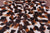 Dyed Natural Cowhide Rug - XX-Large 8' 0"H x 7' 5"W