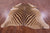 Zebra Animal Print Natural Cowhide Rug - X-Large 7' 4"H x 6' 8"W