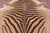 Zebra Animal Print Natural Cowhide Rug - X-Large 7' 4"H x 6' 8"W