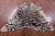 Tiger Animal Print Natural Cowhide Rug - X-Large 7' 2"H x 6' 3"W
