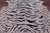 Tiger Animal Print Natural Cowhide Rug - X-Large 7' 2"H x 6' 1"W