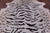 Tiger Animal Print Natural Cowhide Rug - X-Large 7' 3"H x 6' 6"W