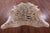 Tiger Animal Print Natural Cowhide Rug - XX-Large 7' 10"H x 6' 6"W