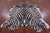 Zebra Animal Print Natural Cowhide Rug - XX-Large 8' 2"H x 6' 6"W