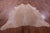 Light Brown Natural Cowhide Rug - XX-Large 7' 10"H x 7' 0"W