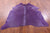 Purple Dyed Natural Cowhide Rug - Large 6' 8"H x 6' 2"W