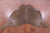 Brown Dyed Natural Cowhide Rug - XX-Large 7' 10"H x 6' 8"W