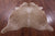 Light Brown Natural Cowhide Rug - X-Large 7' 5"H x 6' 0"W