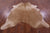 Light Brown Natural Cowhide Rug - XX-Large 8' 1"H x 6' 7"W