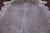 Champagne Natural Cowhide Rug - XX-Large 8' 2"H x 7' 0"W