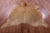 Brown Natural Cowhide Rug - XX-Large 7' 9"H x 6' 6"W