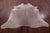 Light Brown Natural Cowhide Rug - XX-Large 7' 9"H x 7' 0"W