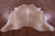 Light Brown Natural Cowhide Rug - X-Large 7' 2"H x 6' 6"W