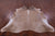 Light Brown Natural Cowhide Rug - XX-Large 8' 0"H x 7' 3"W