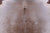 Light Brown Natural Cowhide Rug - X-Large 7' 4"H x 6' 7"W