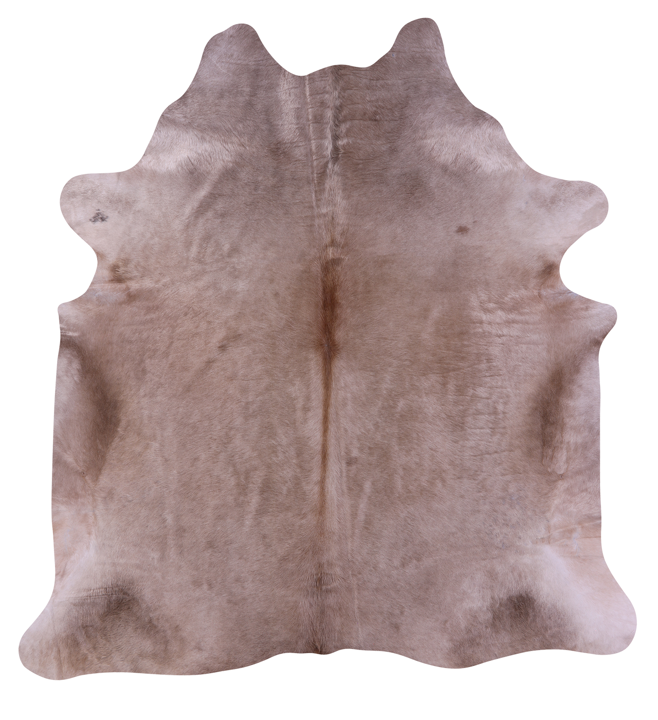 Champagne Natural Cowhide Rug - X-Large 7' 4"H x 6' 8"W