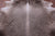 Light Brown Natural Cowhide Rug - XX-Large 7' 10"H x 7' 0"W