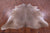 Light Brown Natural Cowhide Rug - XX-Large 8' 3"H x 7' 0"W