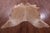 Light Brown Natural Cowhide Rug - X-Large 7' 4"H x 6' 5"W