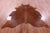 Brown Natural Cowhide Rug - X-Large 7' 3"H x 6' 8"W
