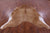 Light Brown Natural Cowhide Rug - XX-Large 8' 3"H x 7' 0"W