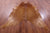 Brown Natural Cowhide Rug - XX-Large 8' 0"H x 6' 5"W