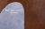 Brown Natural Cowhide Rug - XX-Large 8' 0"H x 6' 5"W