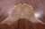 Light Brown Natural Cowhide Rug - X-Large 7' 5"H x 7' 0"W