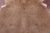 Light Brown Natural Cowhide Rug - X-Large 7' 5"H x 7' 0"W