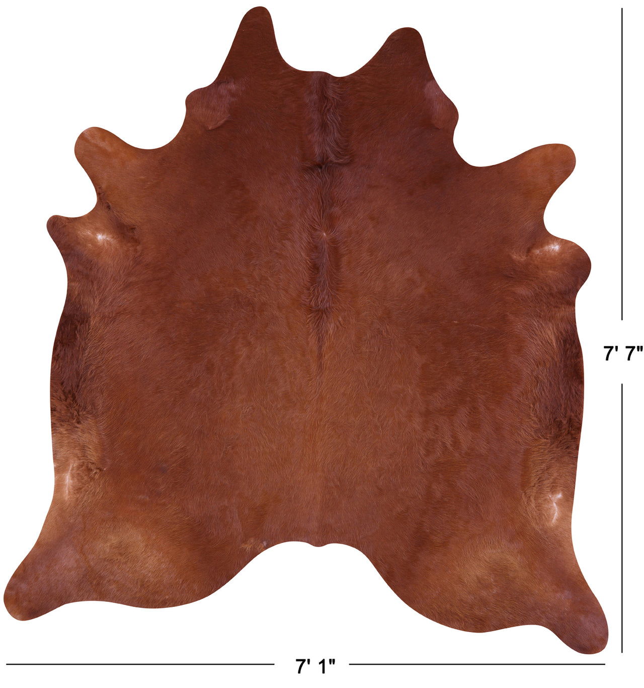 Brown Natural Cowhide Rug - X-Large 7' 7"H x 7' 1"W