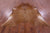 Brown Natural Cowhide Rug - XX-Large 7' 10"H x 7' 1"W