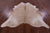 Beige Natural Cowhide Rug - X-Large 7' 4"H x 6' 4"W