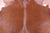 Brown Natural Cowhide Rug - XX-Large 7' 9"H x 7' 0"W