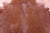 Brown Natural Cowhide Rug - X-Large 7' 3"H x 6' 7"W