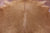 Brown Natural Cowhide Rug - X-Large 7' 4"H x 7' 1"W