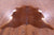 Brown Natural Cowhide Rug - X-Large 7' 0"H x 7' 0"W