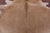 Light Brown Natural Cowhide Rug - X-Large 7' 1"H x 6' 7"W