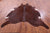 Brown Natural Cowhide Rug - XX-Large 8' 4"H x 7' 4"W