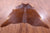 Brown Natural Cowhide Rug - XX-Large 7' 8"H x 7' 0"W